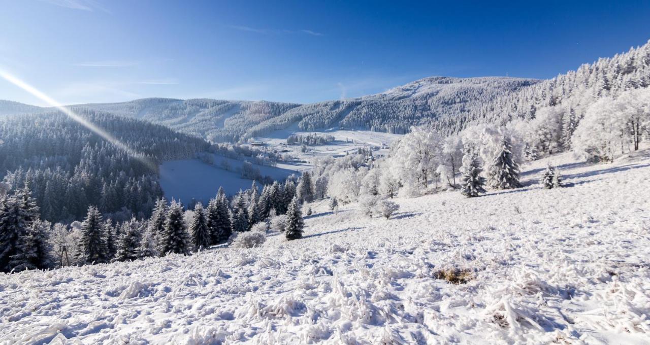Bed and Breakfast Kosowka Czarna Gora Строне-Шльонське Екстер'єр фото